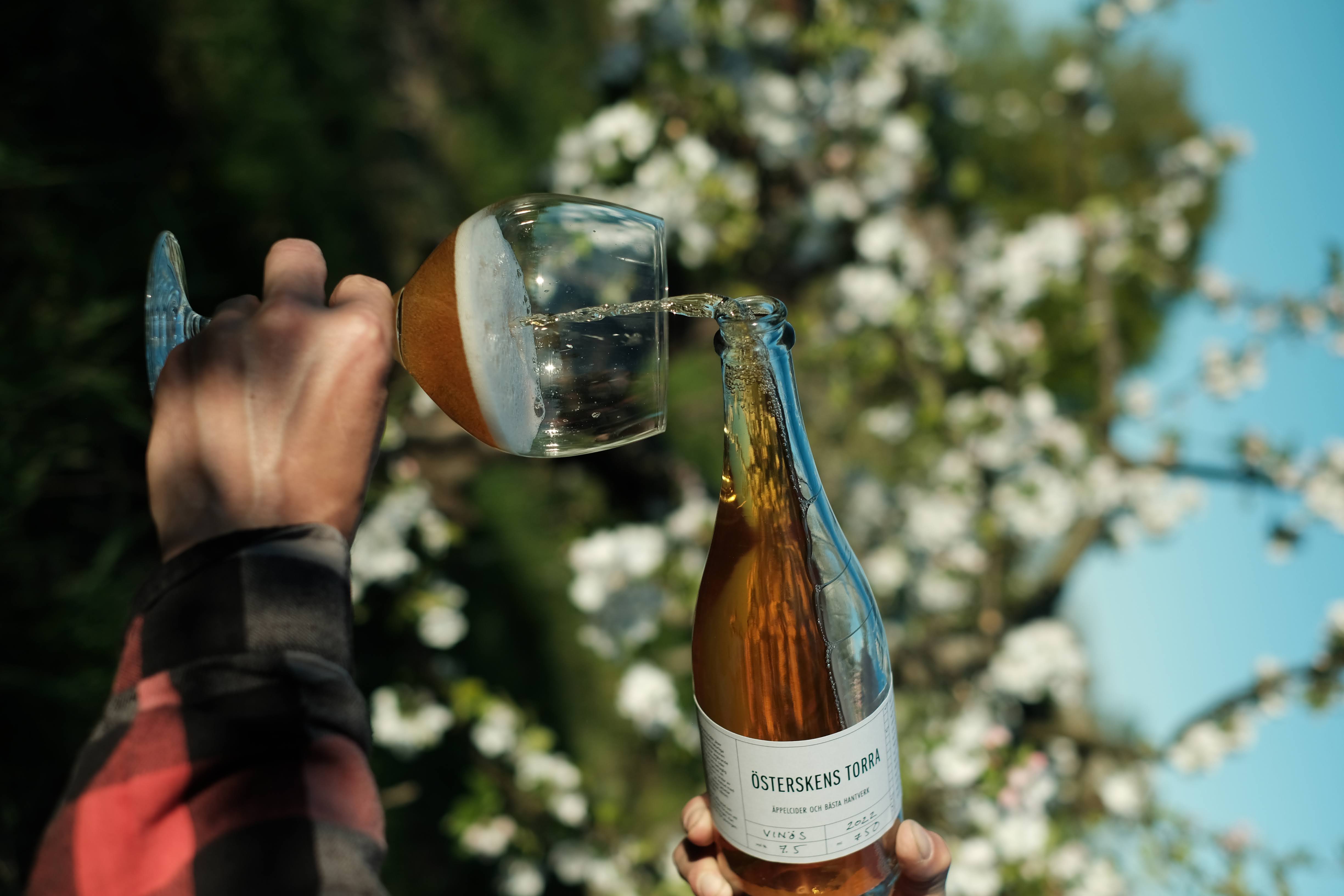 Cider hälls upp med blommande odling som bakgrund
